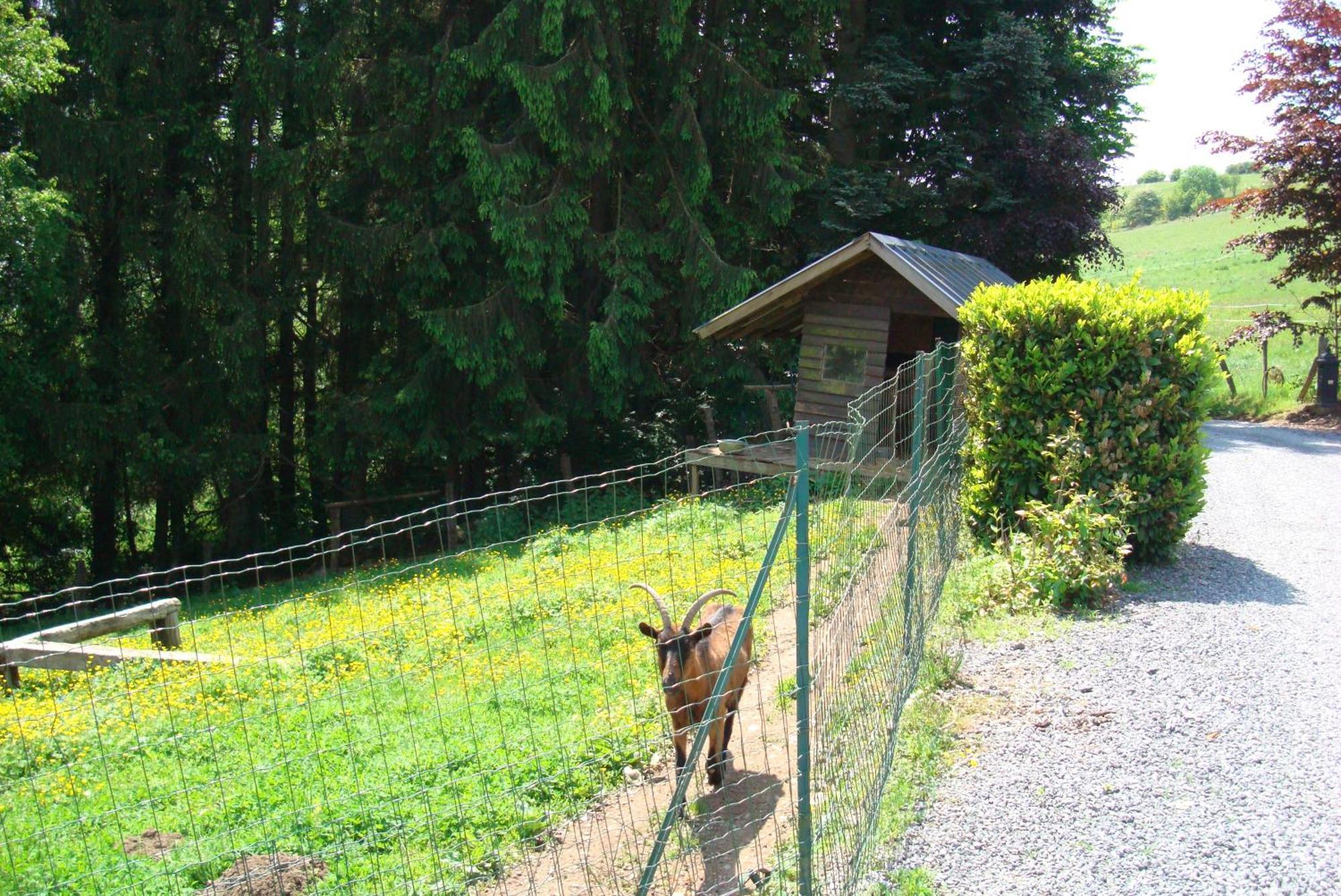 Gîte La Gernelle Bouillon Extérieur photo
